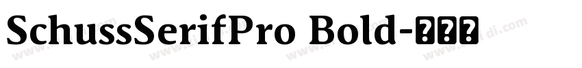 SchussSerifPro Bold字体转换